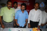 Malabar Gold Brand Ambassador Jr NTR - 87 of 130