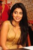 Mallanna - Vikram - Shriya - Success Meet - Photos - 51 of 97