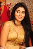 Mallanna - Vikram - Shriya - Success Meet - Photos - 53 of 97