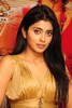 Mallanna - Vikram - Shriya - Success Meet - Photos - 59 of 97