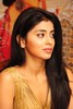 Mallanna - Vikram - Shriya - Success Meet - Photos - 67 of 97