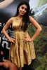 Mallanna - Vikram - Shriya - Success Meet - Photos - 96 of 97