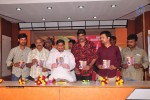 Malle Teega Movie Audio Launch - 32 of 48