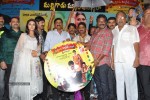 Malligadu Marriage Bureau Audio Launch - 46 of 91