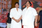 Malupu Movie Audio Launch - 13 of 63