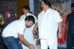 Malupu Movie Audio Launch - 21 of 63