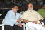 Malupu Movie Trailer Launch - 43 of 152