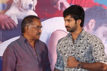 Malupu Success Meet Photos - 15 of 42