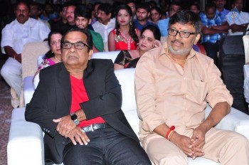 Mama Manchu Alludu Kanchu Audio Launch 2 - 12 of 126