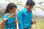 Mana Oori Sakshiga Audio Launch n Stills - 33 of 33