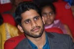 Manam 100 Days Celebrations 02 - 60 of 172