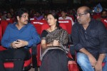 Manam 100 Days Celebrations 02 - 97 of 172