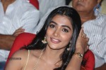 Manam 100 Days Celebrations 03 - 119 of 174
