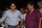 Manam Success Celebrations 01 - 39 of 94