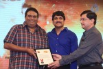 Manam Success Celebrations 03 - 62 of 216