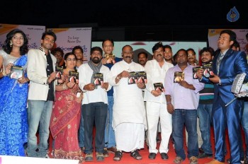Manasantha Nuvve Audio Launch Photos - 16 of 38