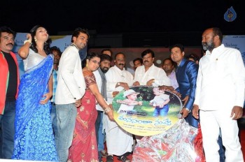 Manasantha Nuvve Audio Launch Photos - 18 of 38