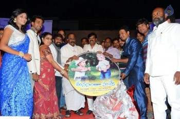 Manasantha Nuvve Audio Launch Photos - 33 of 38