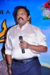 Manasara Movie Success Meet - 33 of 87