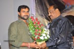Manasuna Manasai Movie Audio Launch - 4 of 52
