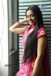 Maro Charitra Movie Press Meet Stills - 28 of 97