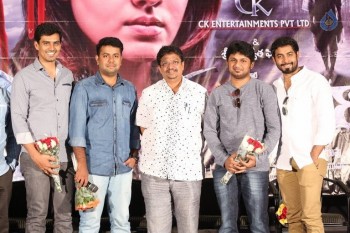 Mayuri Movie Success Meet - 16 of 28