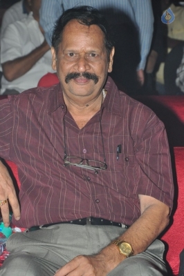 Meda Meeda Abbayi Movie Pre Release Function 1 - 6 of 25