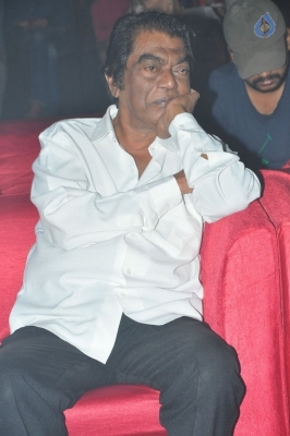Meda Meeda Abbayi Movie Pre Release Function 1 - 24 of 25