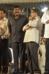 Mega Fans @ Ram Charan, Upasna Reception - 20 of 150