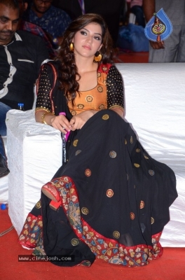 Mehrene Kaur at Pantham Audio Launch - 24 of 30