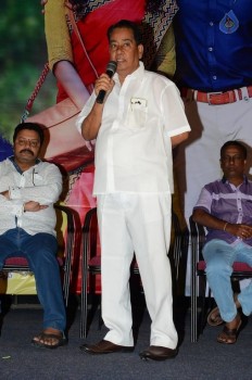 Memu Movie Release Press Meet - 18 of 30