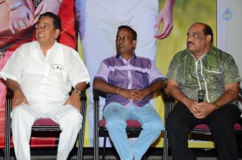 Memu Movie Release Press Meet - 23 of 30