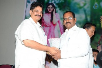 Memu Movie Release Press Meet - 27 of 30