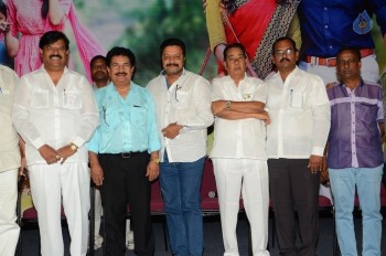 Memu Movie Release Press Meet - 29 of 30