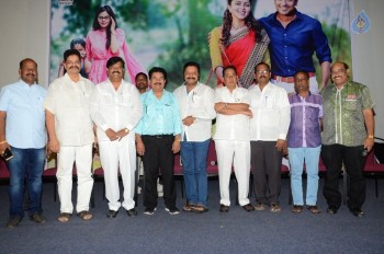 Memu Movie Release Press Meet - 30 of 30