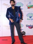 Memu Saitam Dinner with Stars Red Carpet 02 - 34 of 144