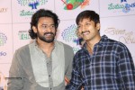 Memu Saitam Dinner with Stars Red Carpet 03 - 88 of 196
