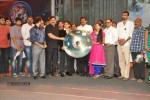 Minugurulu Audio Launch - 11 of 101