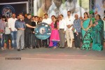 Minugurulu Audio Launch - 101 of 101