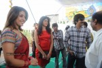 Mirapakai Movie Opening Stills - 32 of 93