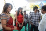 Mirapakai Movie Opening Stills - 32 of 93