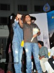 Mirapakaya Movie Audio Launch - 70 of 107