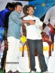 Mirapakaya Movie Audio Launch - 79 of 107