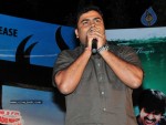 Mirapakaya Movie Audio Launch - 124 of 107