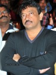 Mirapakaya Movie Audio Launch - 90 of 107