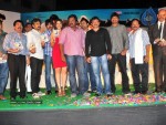 Mirapakaya Movie Audio Launch - 104 of 107