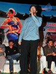 Mirapakaya Movie Audio Launch - 105 of 107