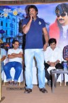 Mirapakaya Movie Success Meet - 80 of 77