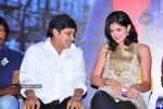 Mirapakaya Movie Success Meet - 58 of 77