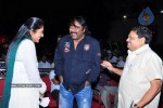 Mirapakaya Movie Triple Platinum Disc Function - 89 of 131